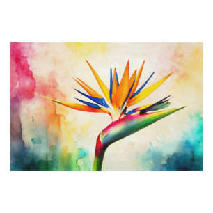 Impression Photo *~* AP10 Peinture d'art d'oiseaux de paradis #21