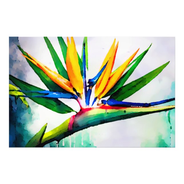 Impression Photo *~* AP10 Peinture d'art d'oiseaux de paradis #23 (Devant)