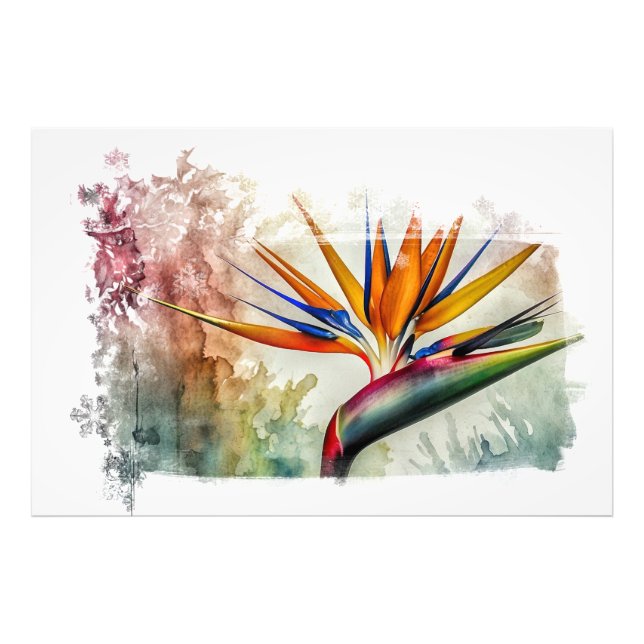 Impression Photo *~* AP10 Tableau Art Oiseau du Paradis #18 (Devant)