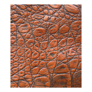 Impression Photo apparence fausse en cuir de crocodile