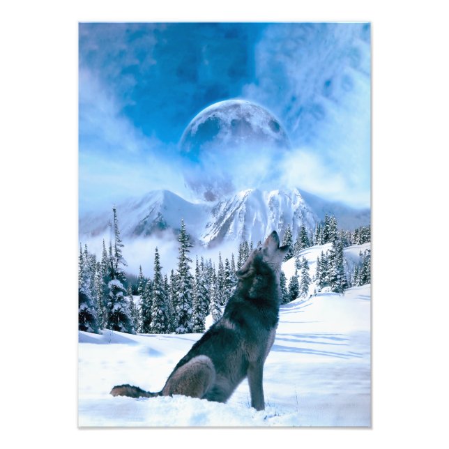 Impression Photo Appel Wolf (Devant)