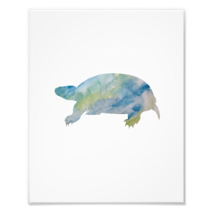 Impression Photo Aquarelle couleur tortue
