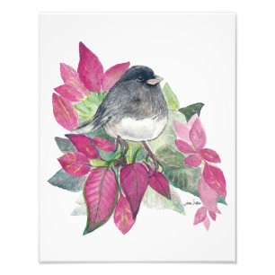 Impression Photo Aquarelle Dark Eyed Junco