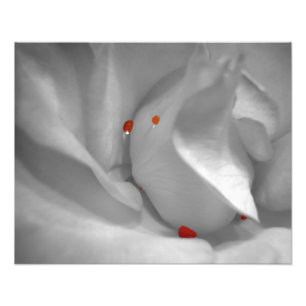 Impression Photo Aquarelle de l'Éolienne Imprimer