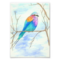 Aquarelle d'oiseau Art Lilac Roulon à poitrine dan