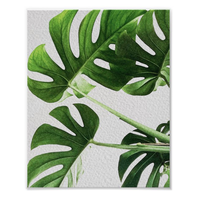 Impression Photo Aquarelle Feuilles verts (Devant)