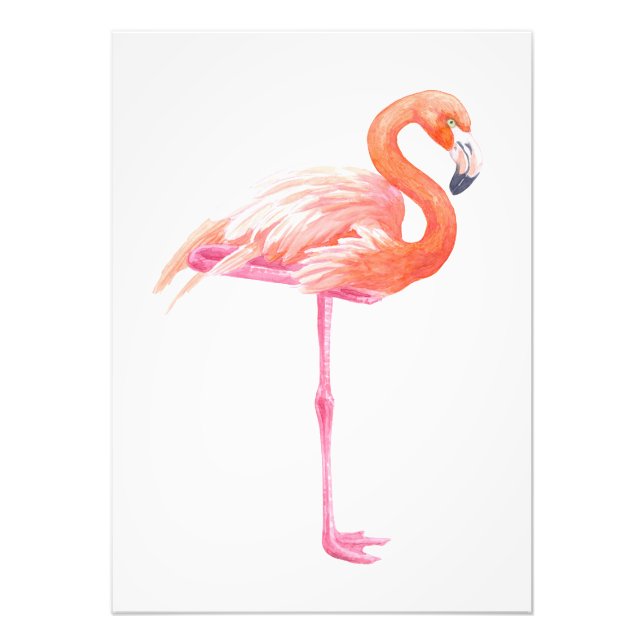 Impression Photo aquarelle Flamant rose (Devant)