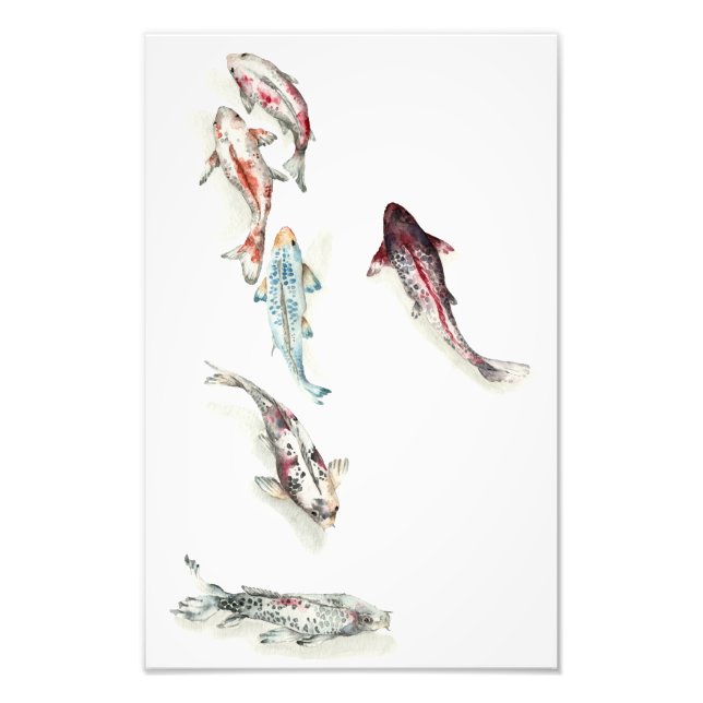 Impression Photo Aquarelle Koi Fish (Devant)
