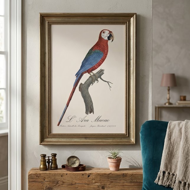 Impression Photo Ara chloroptère (Red-and-green Macaw, Ara chloropterus. Photo Print)
