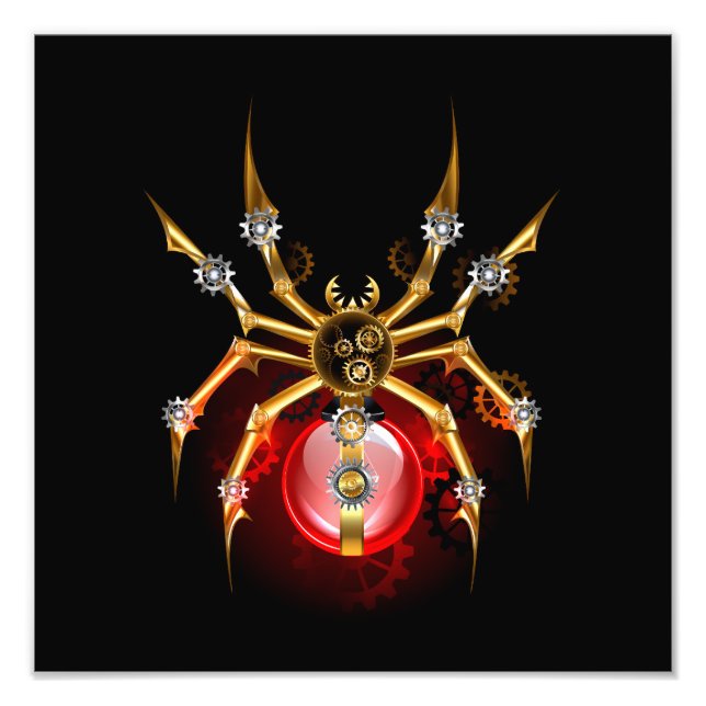 Impression Photo Araignée en vapeur noire (Devant)