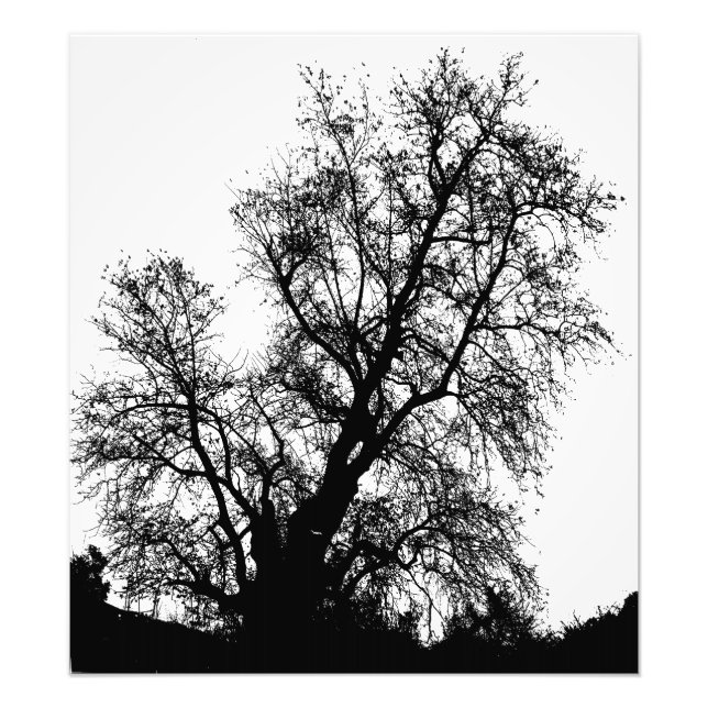 Impression Photo arbre (Devant)