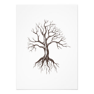 Impression Photo Arbre