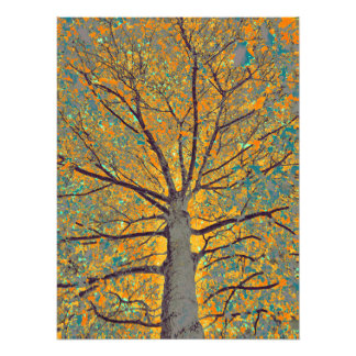 Impression Photo Arbre à moutarde 14