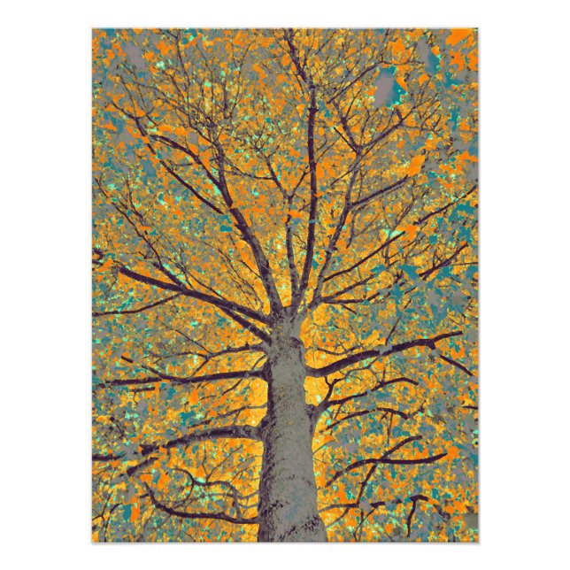 Impression Photo Arbre à moutarde 14 (Devant)