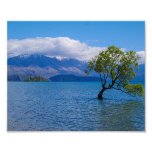 Impression Photo Arbre de Wanaka, lac Wanaka, Nouvelle-Zélande - Ph