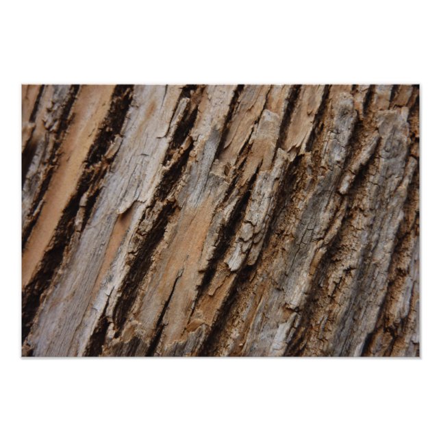 Impression Photo Arbre écorce I Abstrait naturel texturé (Devant)