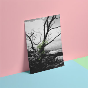 Impression Photo Arbre Noir Et Blanc Avec Vignes Vertes