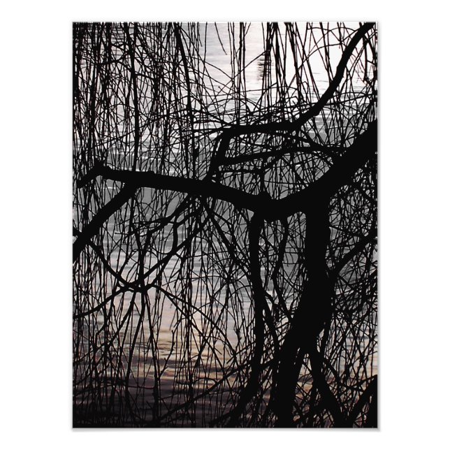 IMPRESSION PHOTO ARBRE SAUVAGE D'HIVER (Devant)