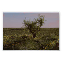 Arbre Solitaire