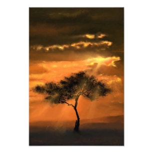 Impression Photo Arbre solitaire Poutres de soleil Coucher de solei