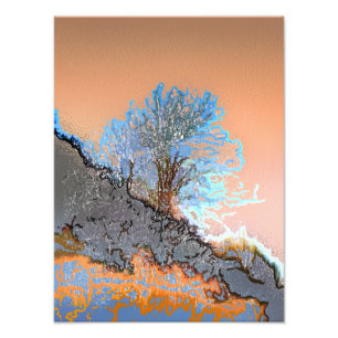 IMPRESSION PHOTO ARBRES