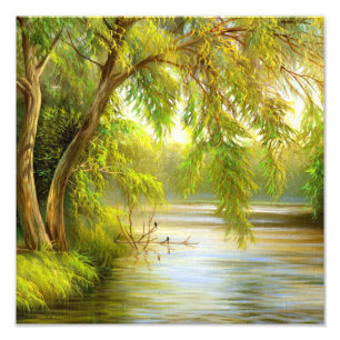 Impression Photo Arbres au-dessus de l'eau