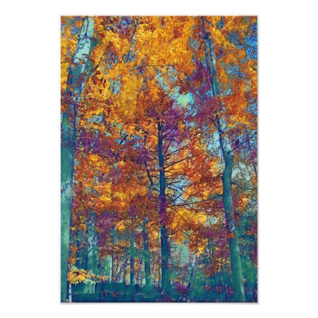Impression Photo Arbres d'automne (Devant)
