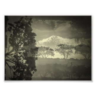 Impression Photo Arbres que je vois.
