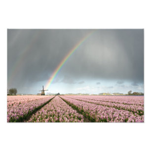Impression Photo Arc-en-ciel sur les hyacinthes et un moulin à vent
