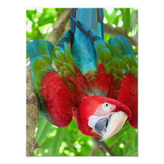 Impression Photo Are you looking at me? 