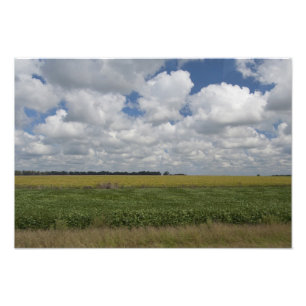 Impression Photo Argentine, Buenos Aires, San Antonio de Areco.