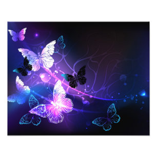 Impression Photo Arrière - plan avec papillons de nuit