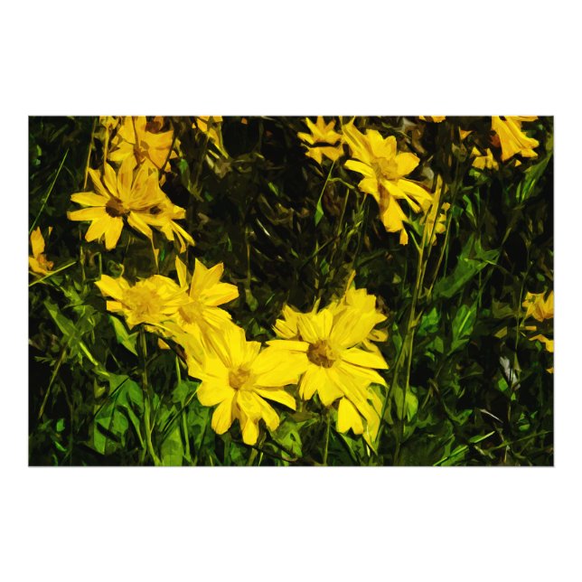 Impression Photo Arrowleaf Fleur sauvage Jaune Arrowley Abstrait (Devant)