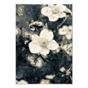 Impression Photo Art botanique de la fleur d'anémone lunatique