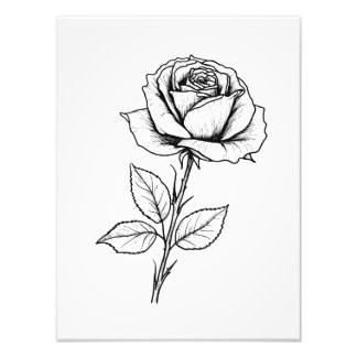 Impression Photo Art de la ligne rose blanche