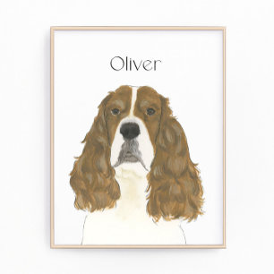Impression Photo Art du Springer Spaniel Anglais Rouge & Blanc