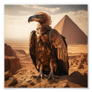 Impression Photo Art mur