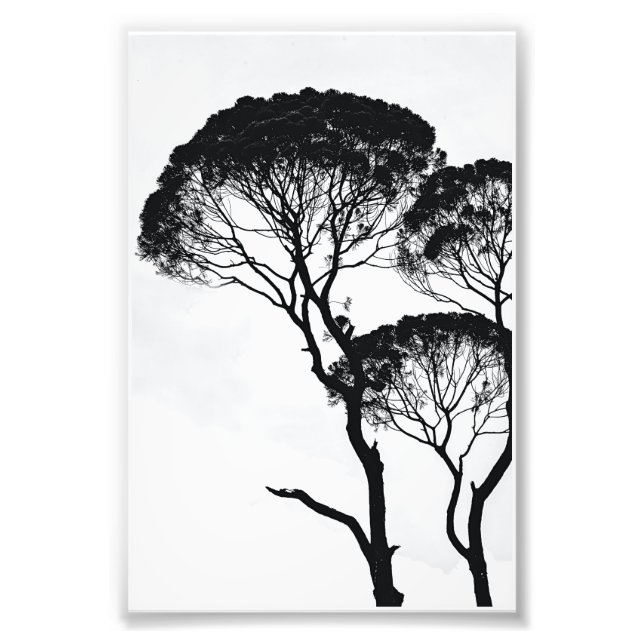 Impression Photo Art mur (Devant)