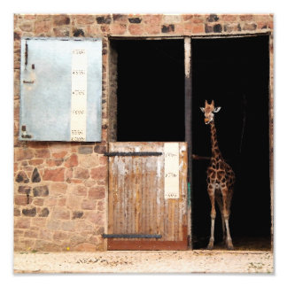 Impression Photo Art numérique Priya