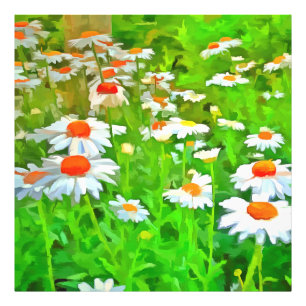 Impression Photo Artistic Bright and Colorful Pop Art Daisies v1 z