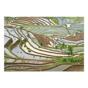 Impression Photo Asie, Chine, Yunnan, Jinping. Personnalité autoch