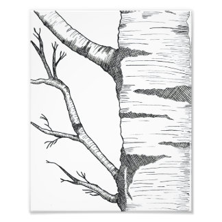 Impression Photo Aspen 