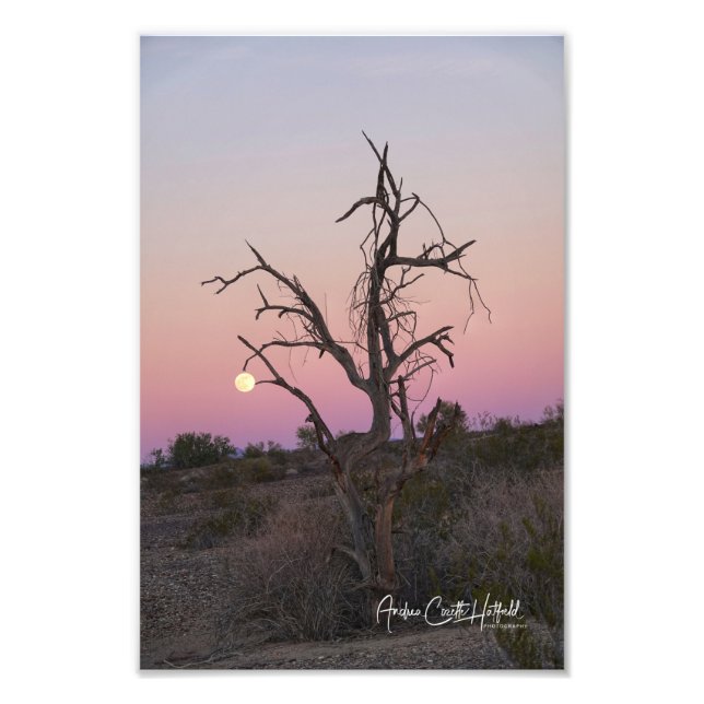 Impression Photo Attraper la Lune (Devant)
