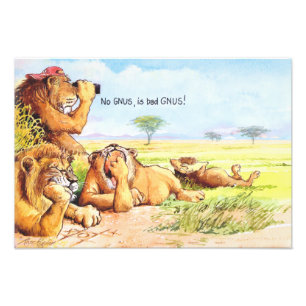 Impression Photo Aucuns gnous