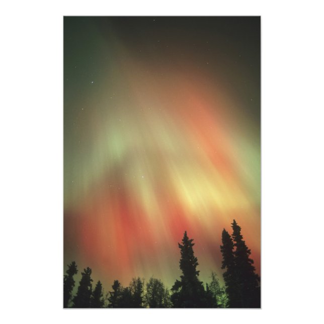 Impression Photo Aurora Borealis, aurores boréales, Fairbanks (Devant)