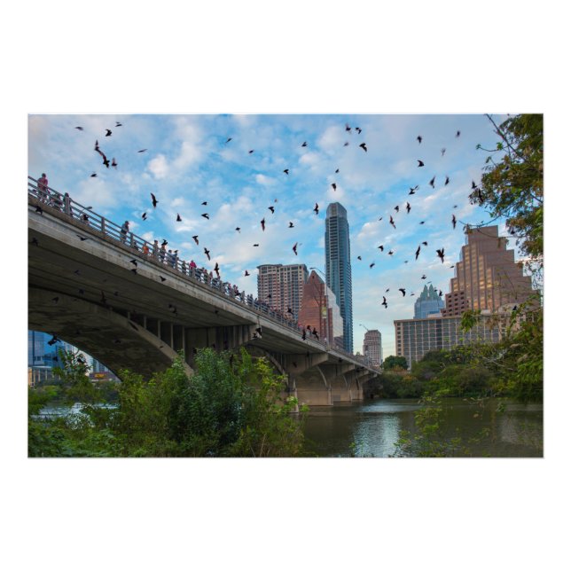 Impression Photo Austin, Texas Bats (Devant)