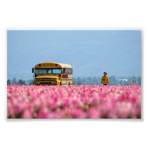 Impression Photo Autobus scolaire, autobus magique