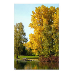 Impression Photo Automne