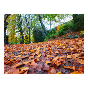 Impression Photo Automne