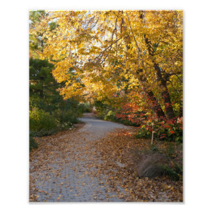 Impression Photo Automne au Jardin Botanique à Madison